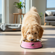Pink Stainless Steel Dog Bowl with Anti-Slip Base – Cute & Durable Pet Feeding Bowl