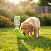 Green Portable Dog Water Bottle with Built-In Bowl – Leak-Proof Travel Hydration Bottle for Pets