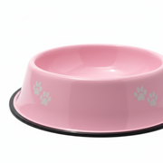 Dog Food & Water Bowl with Non-Slip Base – Durable Feeding Dish for Dogs