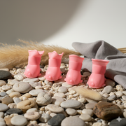 Pink Dog Shoes / Paw Protectors – Anti-Slip Waterproof Dog Boots (Set of 4)